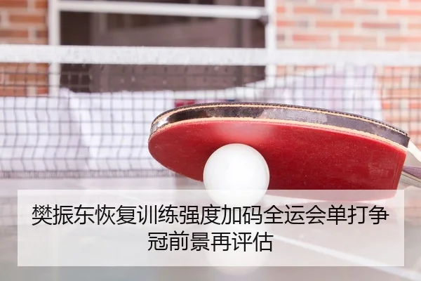 樊振东恢复训练强度加码全运会单打争冠前景再评估